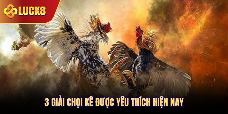 3 giải chọi kê được yêu thích hiện nay