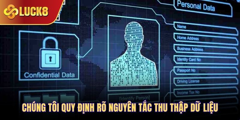 Chúng tôi quy định rõ nguyên tắc thu thập dữ liệu